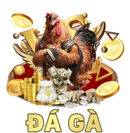 Sự kiện đặc biệt đá gà